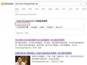 SEO技巧：網站如何增加搜狗收錄的方法分享